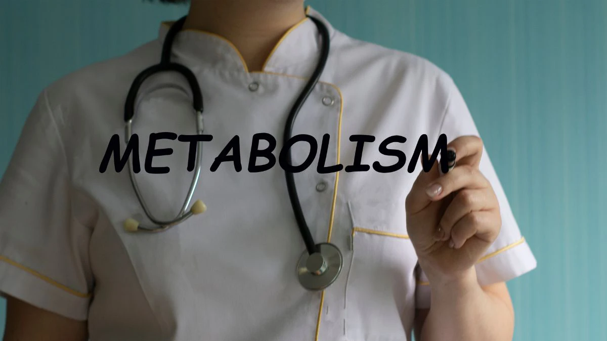 co to jest metabolizm