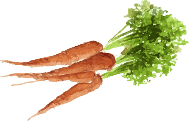 marchewka light diet